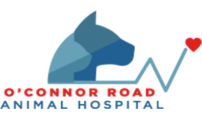 O'Connor Road Animal Hospital-HeaderLogo
